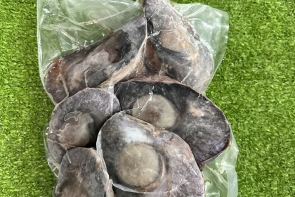 MẮT CÁ NGỪ ĐAI DƯƠNG TẠI Đà Nẵng 