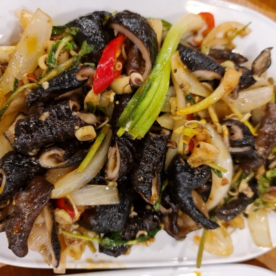 nấm biển 