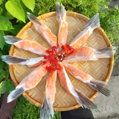 vây cá hồi nauy