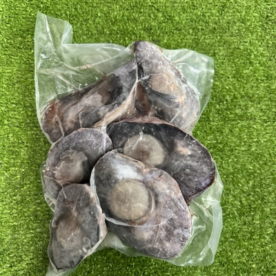 mắt cá ngừ đai dương tại huế mắt cá ngừ đai dương tại huế